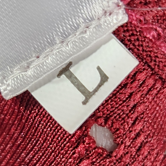 Liofoer NWT Red w/Cream Accent Front Neckline & Cuffs V Neck BOHO Top Size Large - Picture 8 of 12